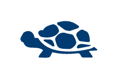 Turtle icon